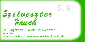 szilveszter hauch business card